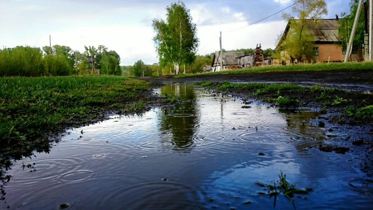 Фото в дождь в деревне