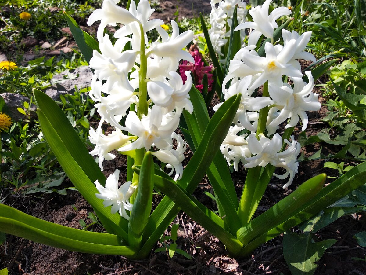 Например, мы осознали, что полноценное улучшение окружающего нас мира, а соответственно и себя не живя на земле очень и очень сложно