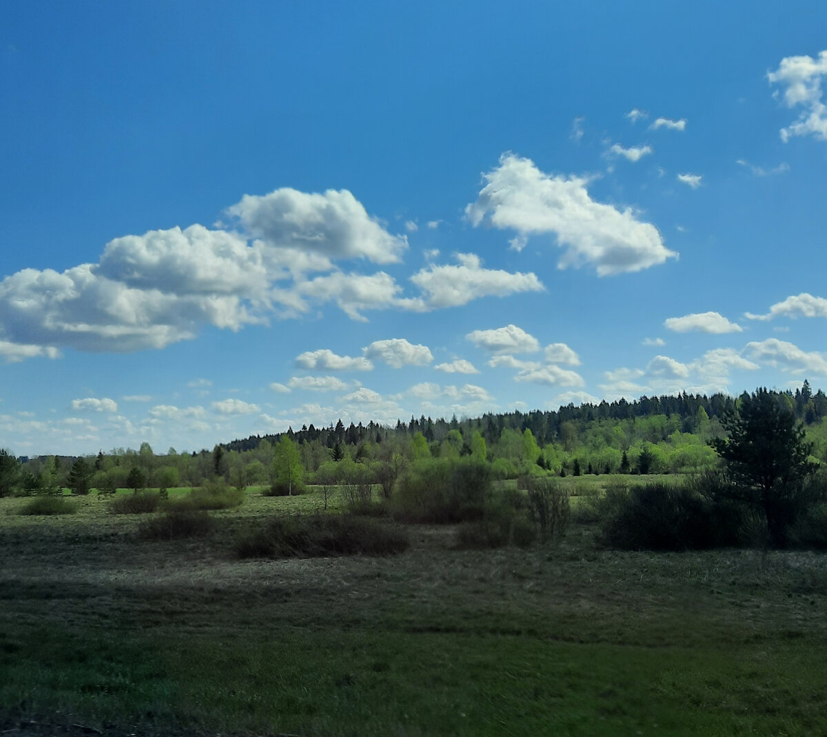 Люблю фотографировать природу. Все фото из личного архива.