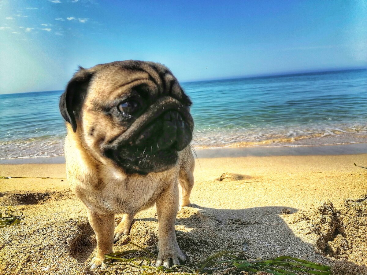 фото автора 2020 год