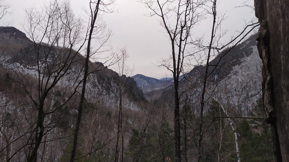 Долина реки Кривой и отроги горы Сахарной