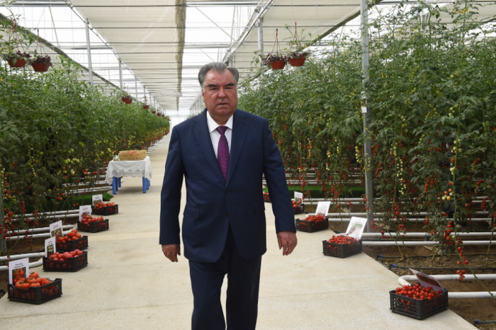 Источник фото: prezident.tj