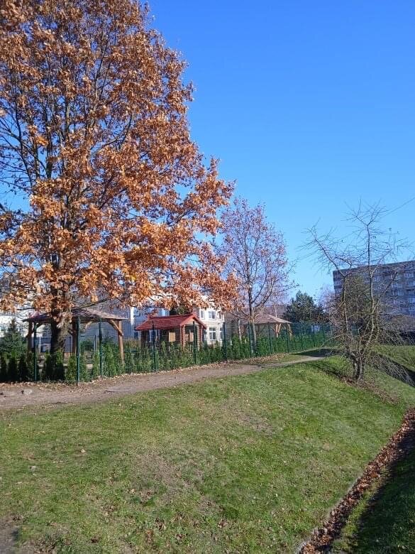 Фото из личного архива Осень 🍂 в ноябре 