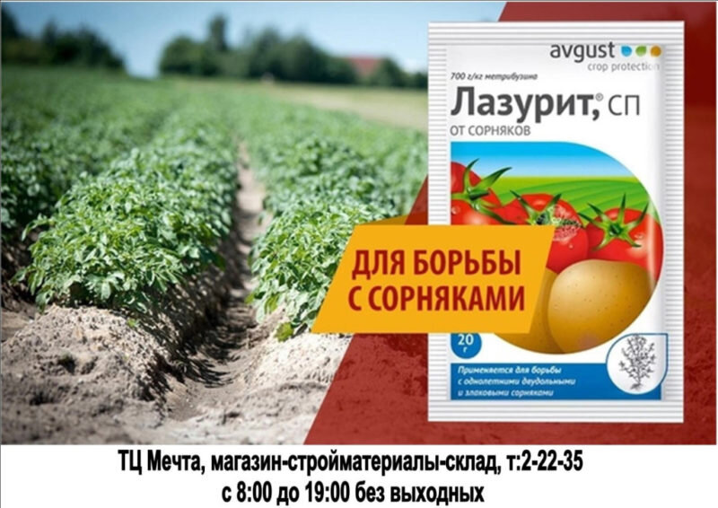 «Лазурит» — универсальный гербицид. Иллюстрация для статьи используется с сайта ok.ru