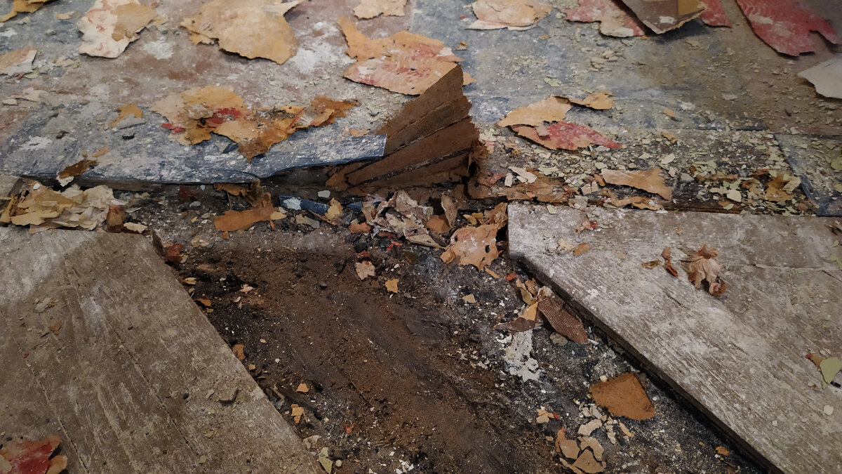 ДВП в коридоре