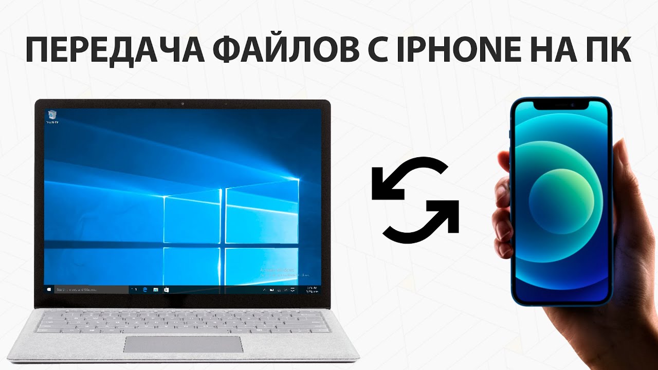 EaseUS MobiMover – Переносим файлы с iPhone на ПК или другой  iPhone/iPad/iPod | CopyPasta | Новости технологий | Дзен