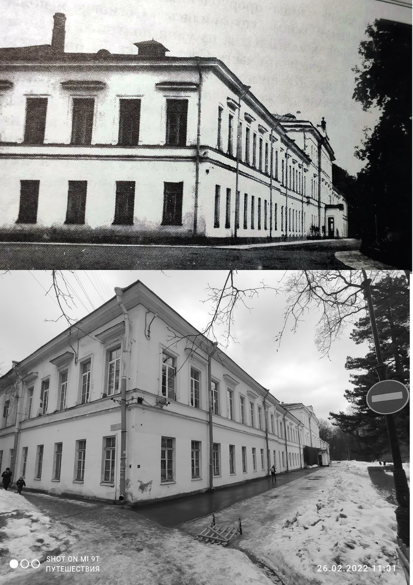 Лесотехнический университет. Коллаж автора