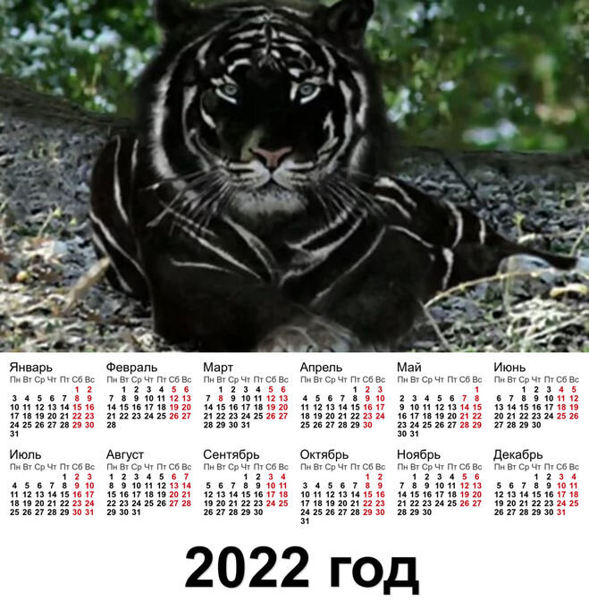 Источник фото: https://god-tigra.ru/god-tigra-2022-novogodnie-kalendari-s-simvolom-goda.html