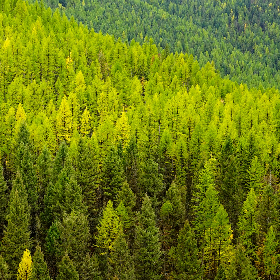 Продолжение предыдущей части