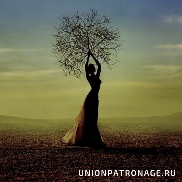 Фото взято из открытых источников 