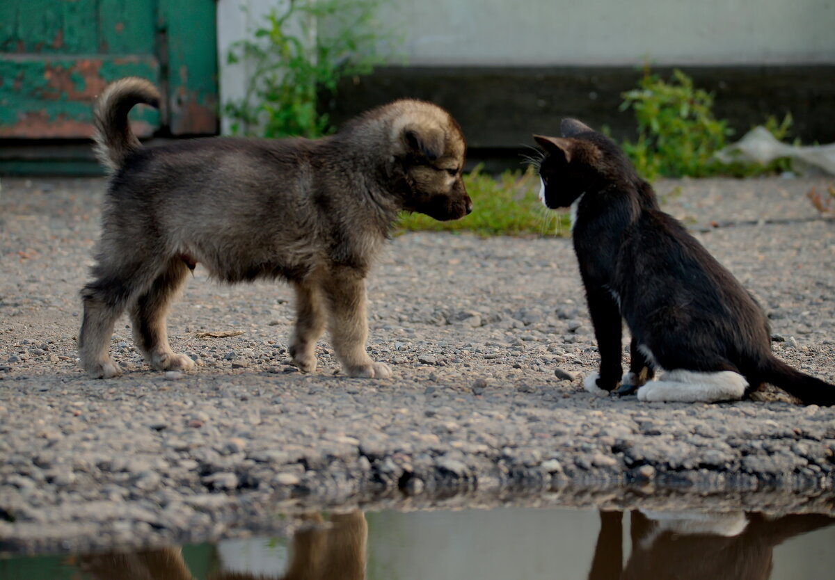А мы дружим!