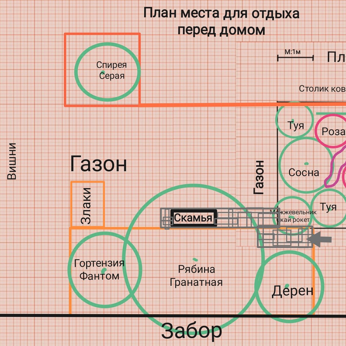 Спланировали милейший уголок для отдыха под красивым деревом. Хвойные  растения, злаки, гортензия. | Ландшафтный дизайн для не-дизайнеров | Дзен