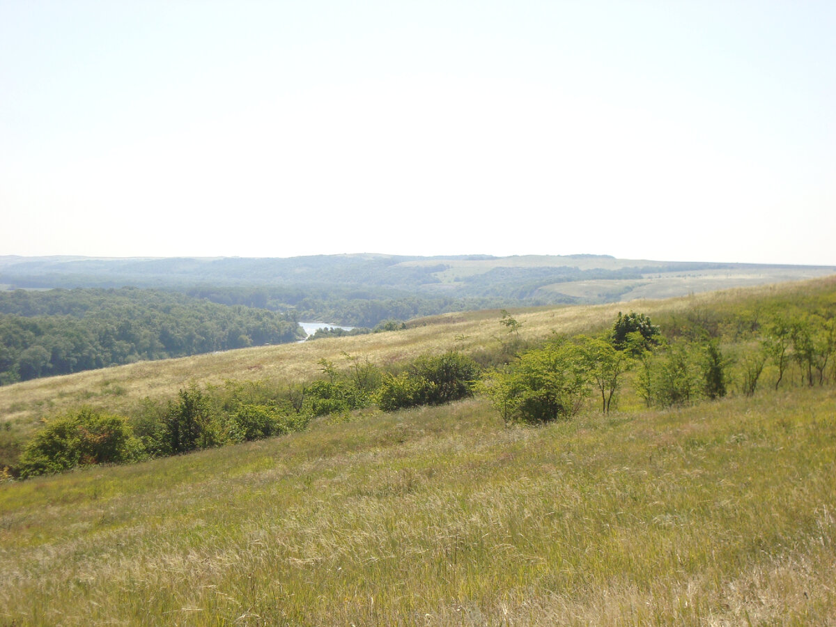 Высокий берег Хопра