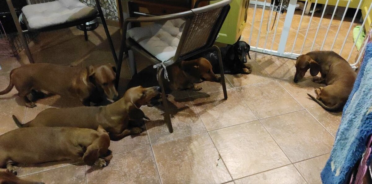 Все поняли, где здесь Ксюша?