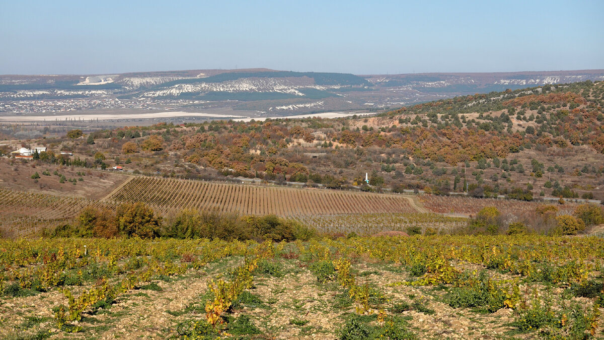 Балаклавская долина 