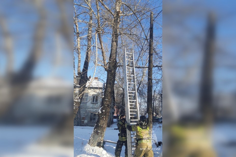     Пенсионерка была благодарна пожарным за спасение любимца  ГУ МЧС по Иркутской области