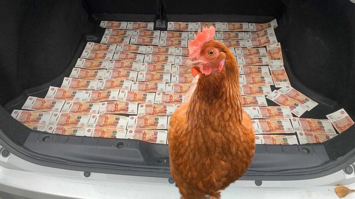     В Ставрополе привели в порядок могилу участника СВО. Жителя Буденновска поймали при попытке подкупить сотрудника ФСБ. К «Ставропольскому бройлеру» опять появились претензии. NewsTracker представляет информационную картину дня 18 ноября.