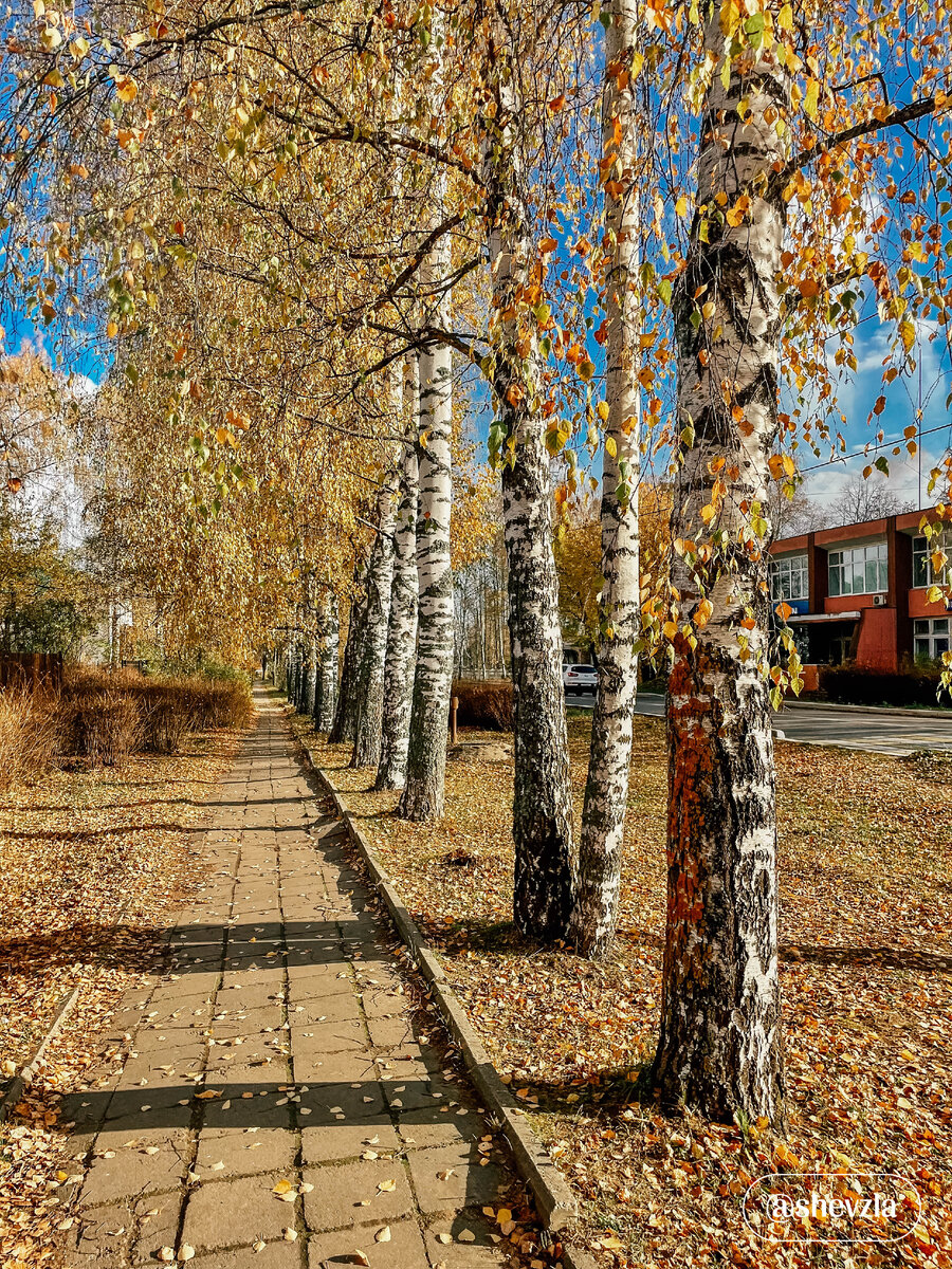 Ул. Корнилова, Плёс