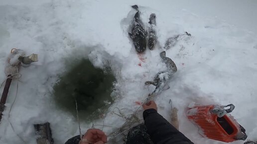 Зимняя рыбалка на Севере. Едем на рыбалку с сыном. Енисей, проверка перемётов на налима и повторение супер клёва.