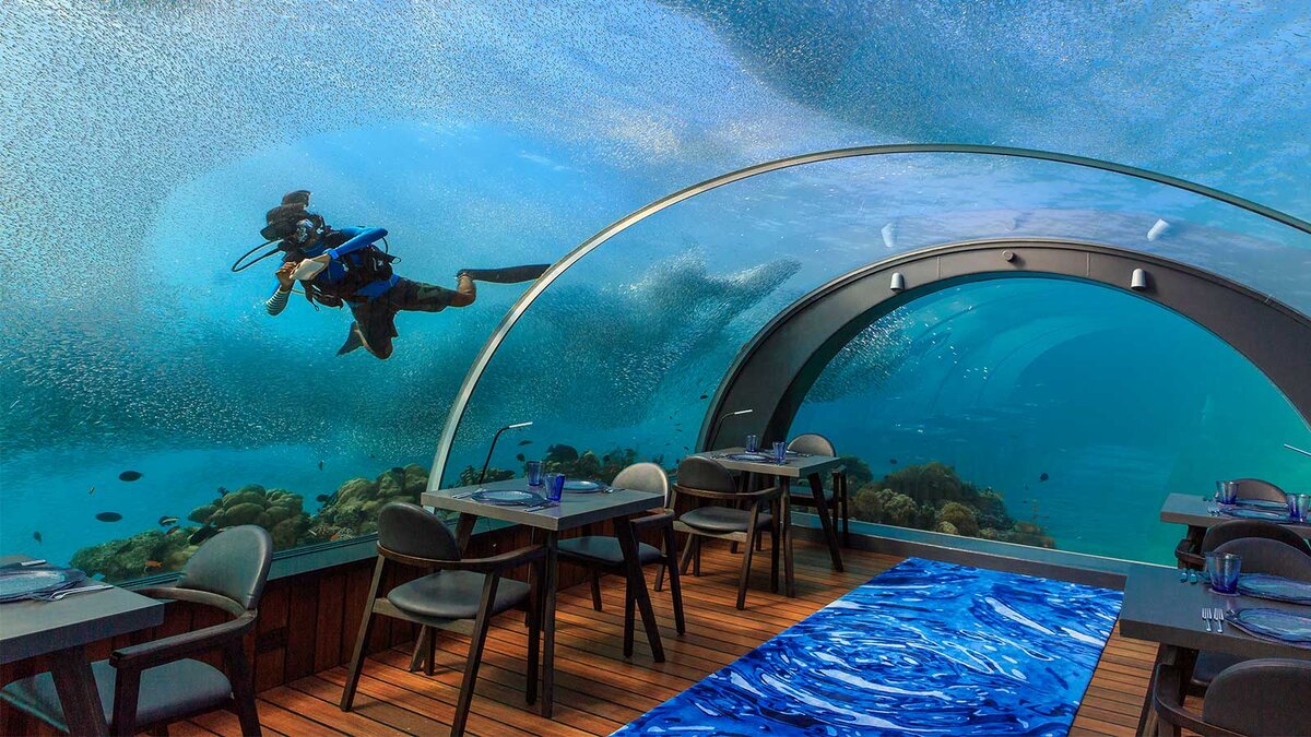 Ресторан 5 8 Undersea Restaurant