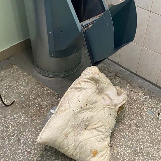  Фото: "Жилищник"