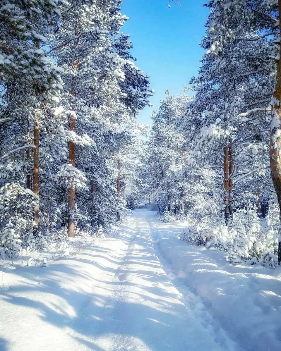 На зимнюю прогулку