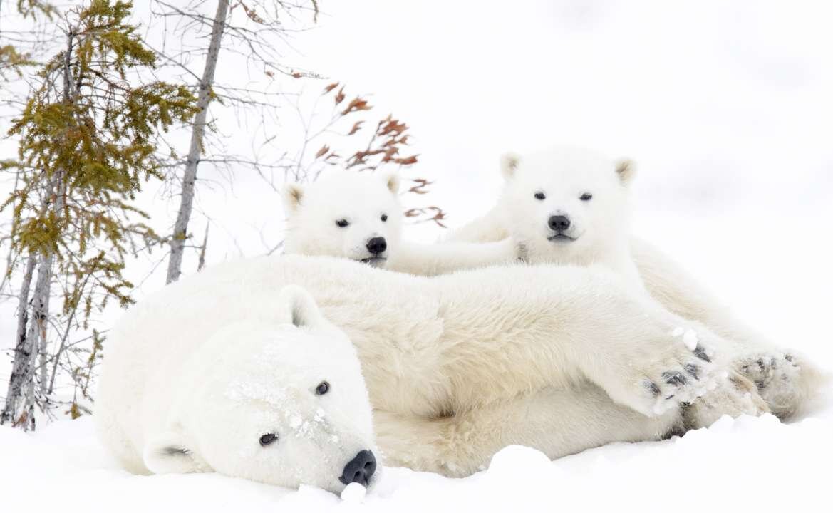 -2