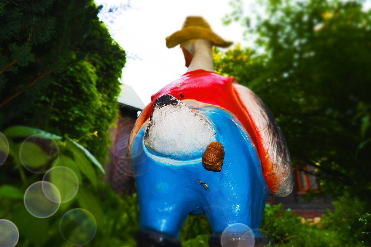 Гусь Сеня (фото автора)