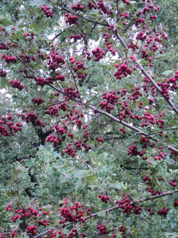 Фото автора канала