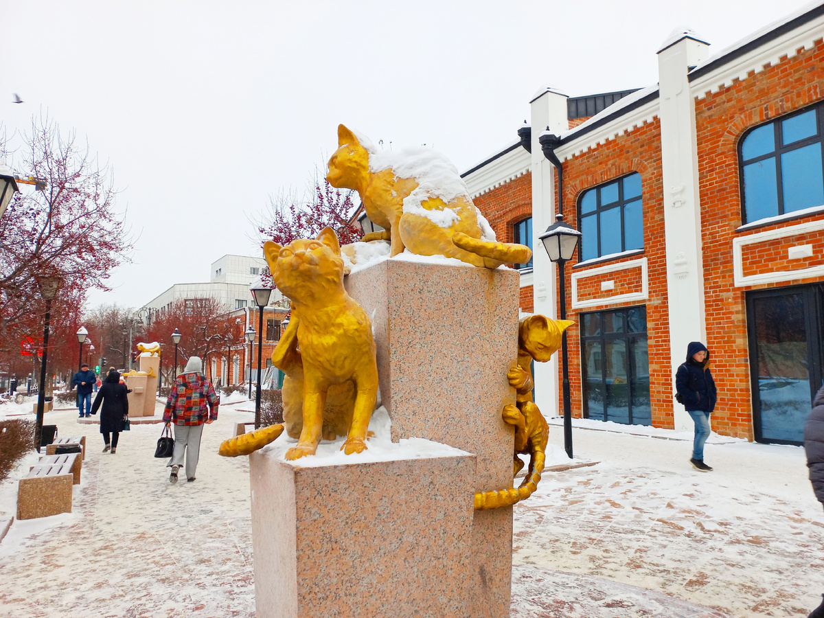 Сквер сибирских кошек