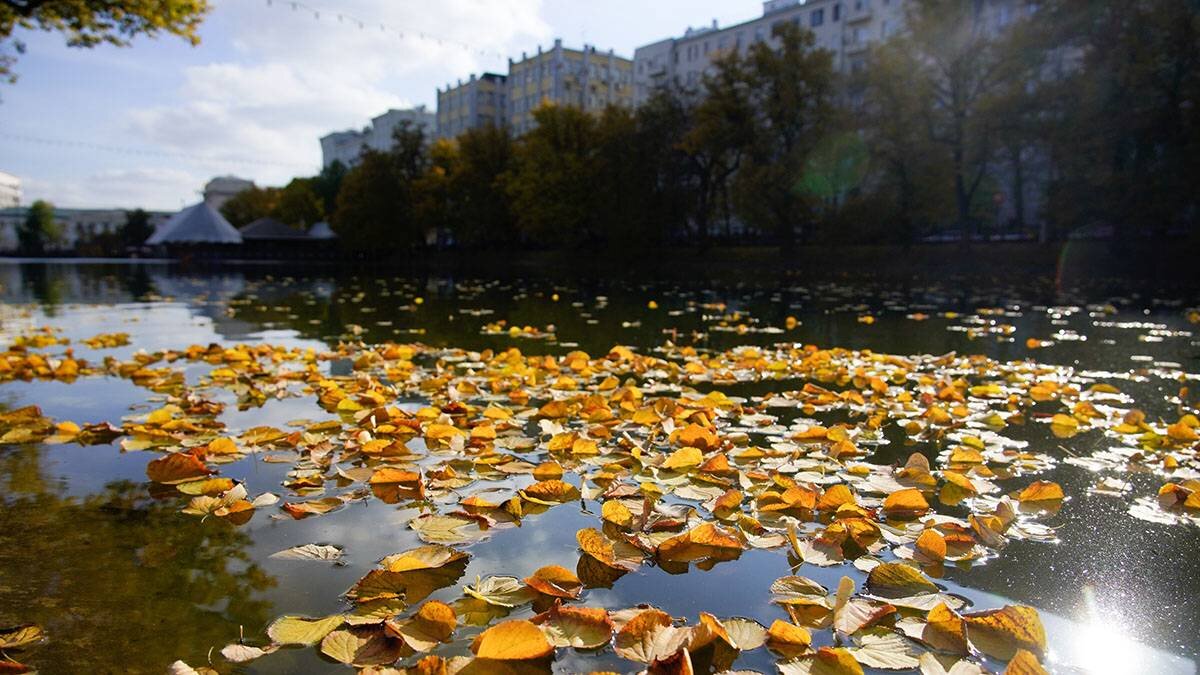    Фото: Александр Авилов / АГН Москва