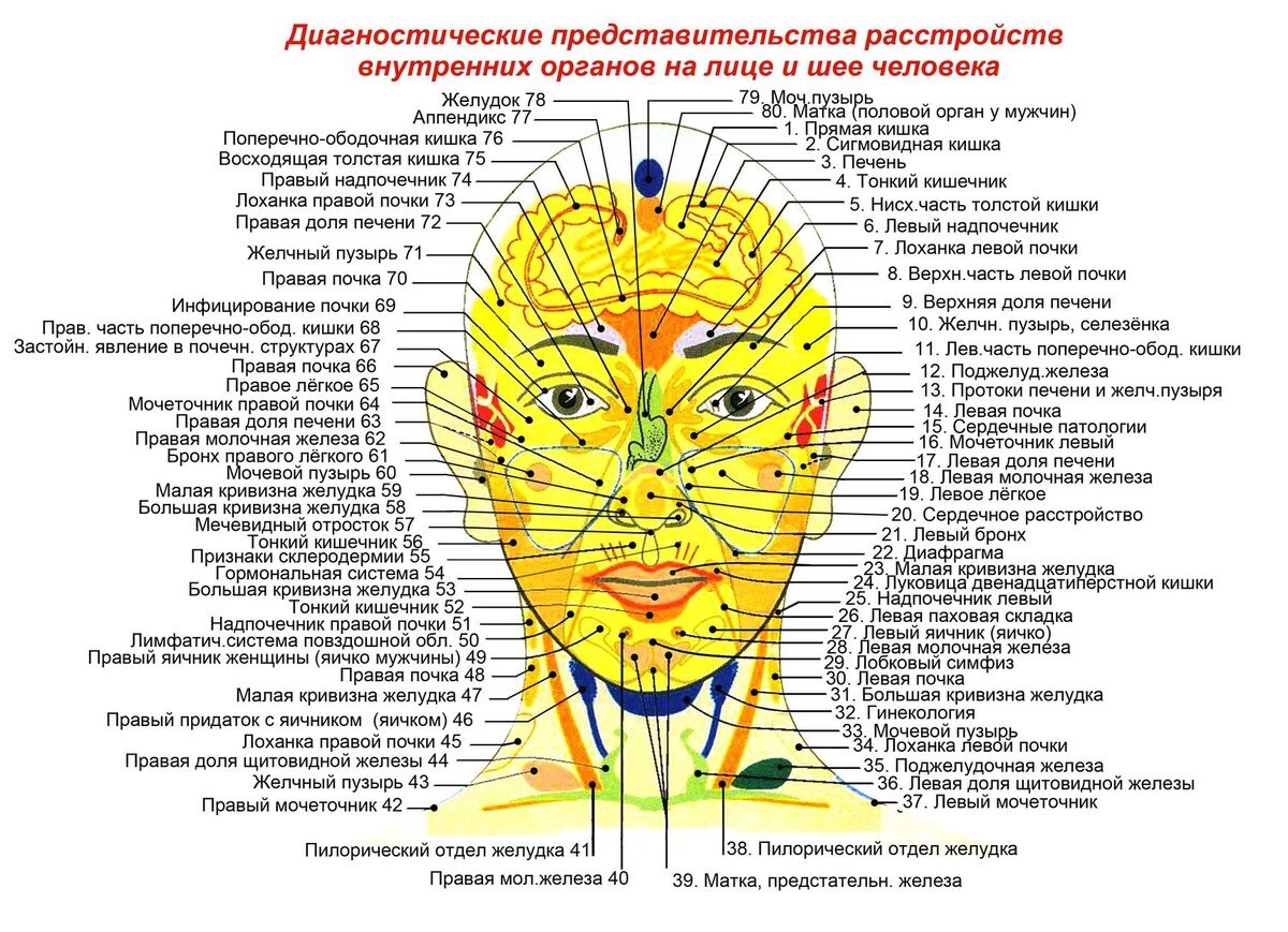 Лайфхак: 13 точек на вашем лице для самоисцеления | Фармэконом | Дзен