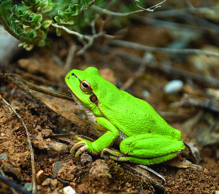 Фото: Екатерина Галич