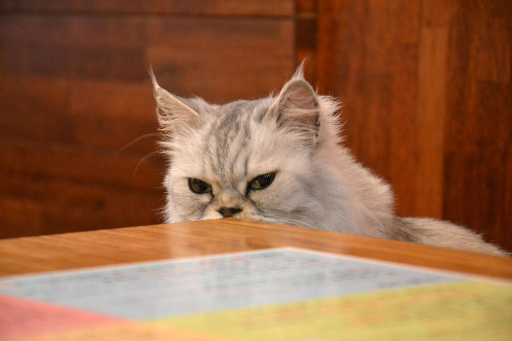 Источник фото: http://www.asianbackpacker.com/wp-content/uploads/2012/04/DSC_4597.jpg