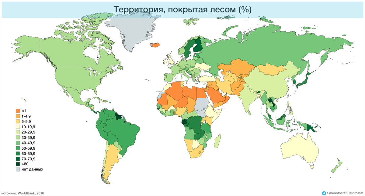 Количество лесов в мире по странам. Карта мира покрытая лесом. Площадь лесов в мире 2021. Сколько леса в разных странах.