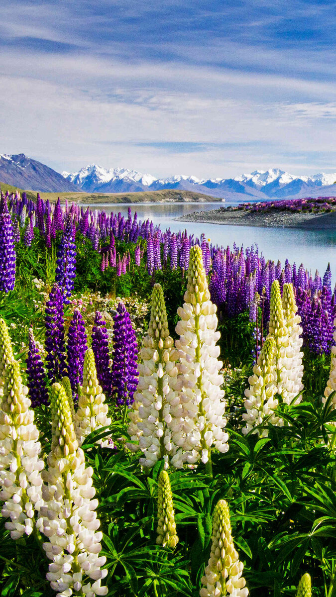 Просто красивое фото. 