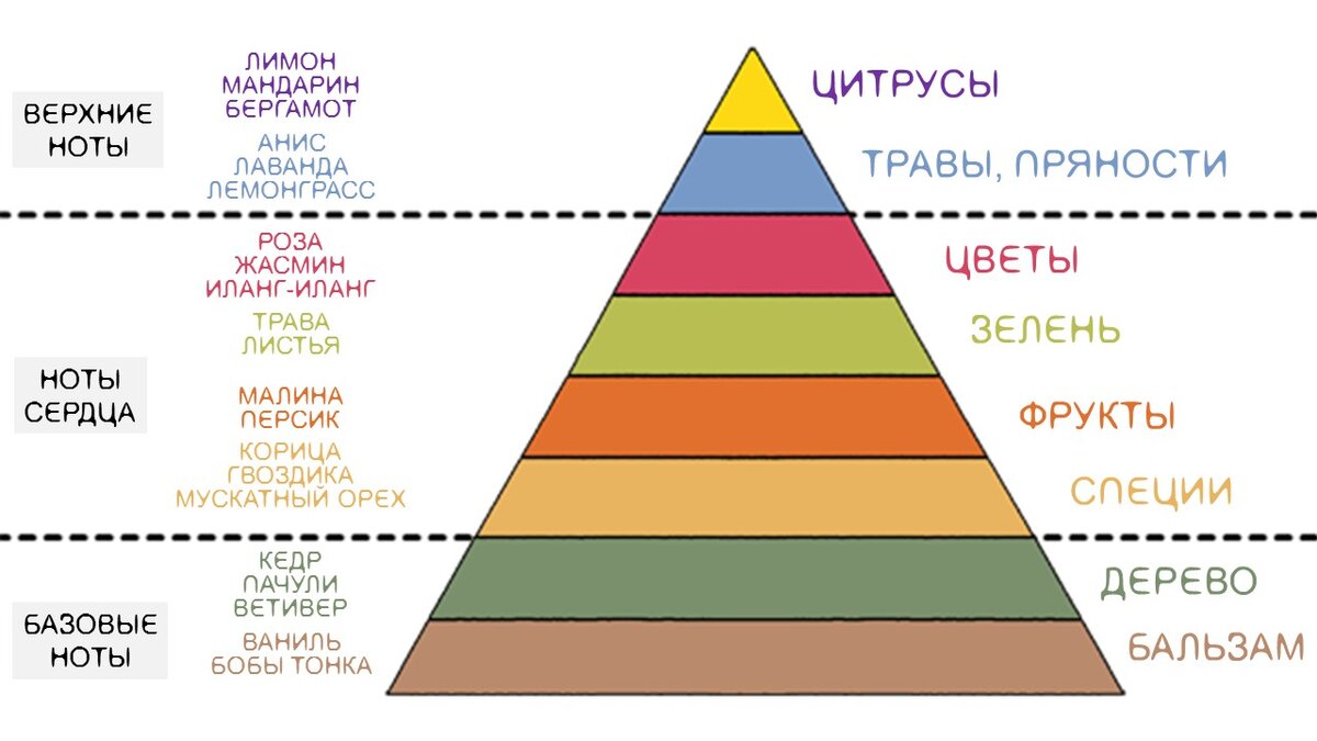 Картинка статьи М.Юдова  о пирамиде аромата на сайте Fragrantica*