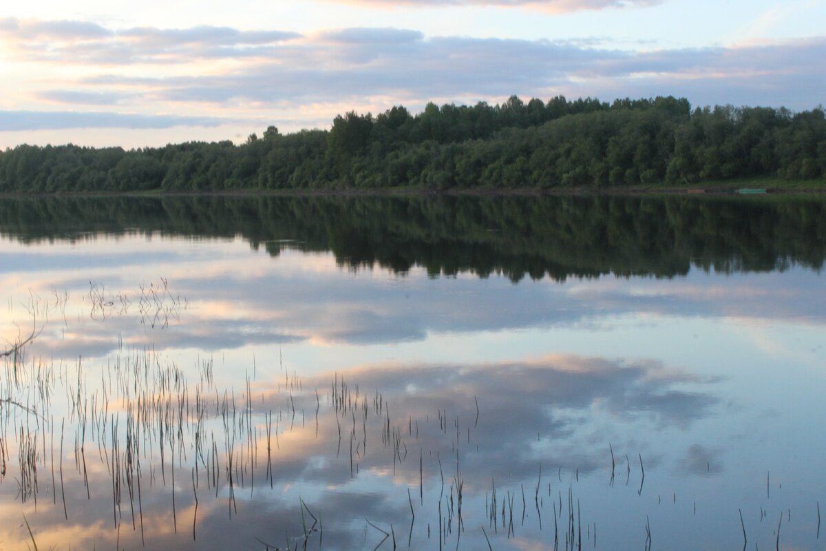 Вблизи д. Шелоховская
