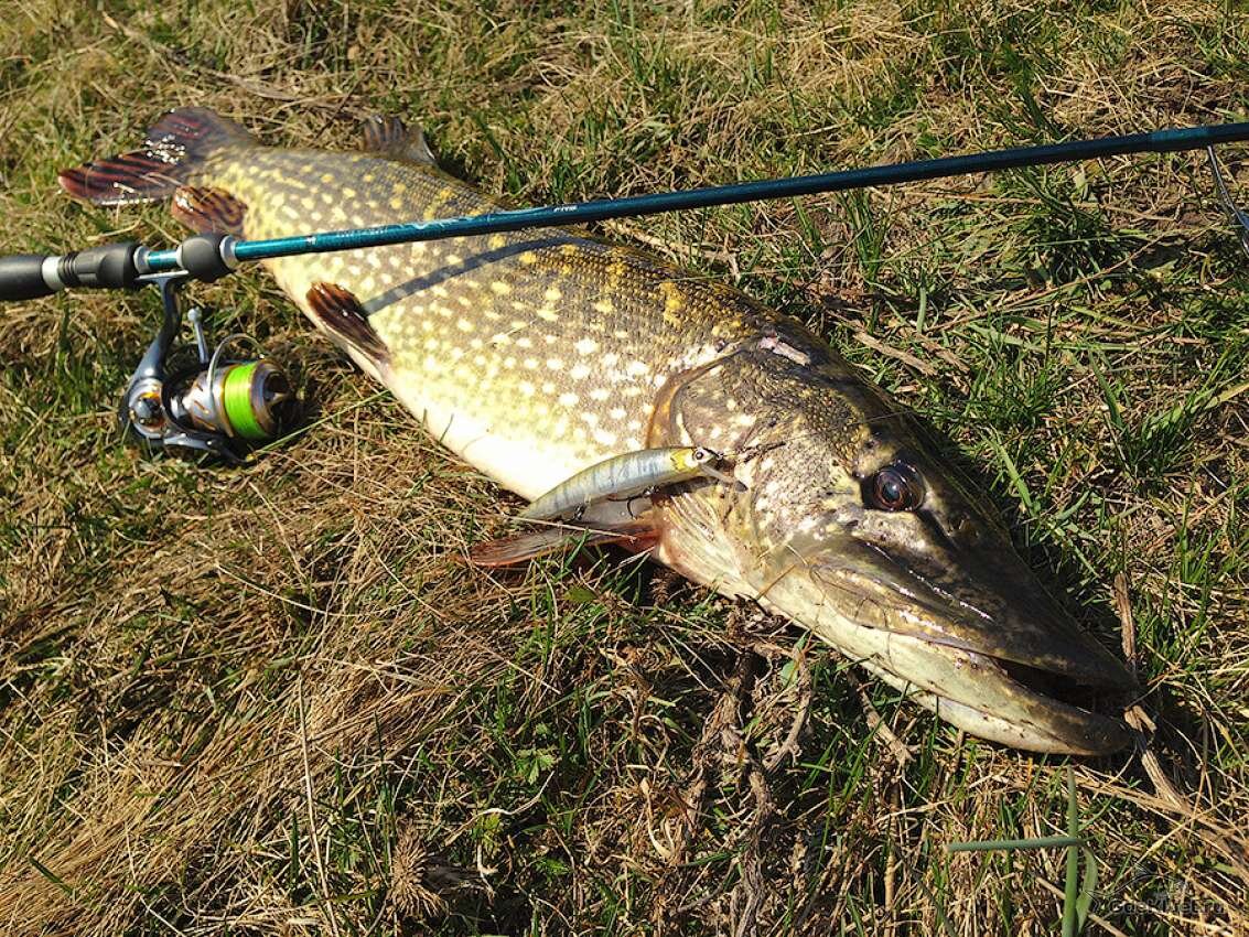 фото взято из открытых источников в интернете