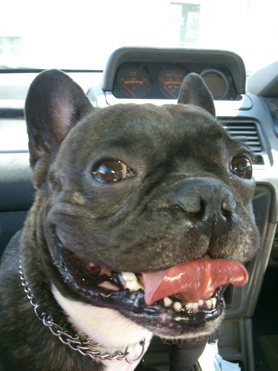 Фото автора истории. 