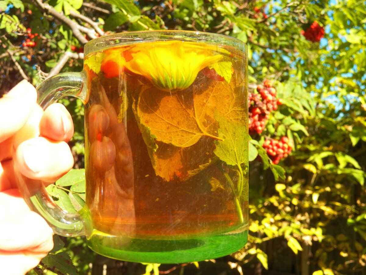 Осенний фиточай