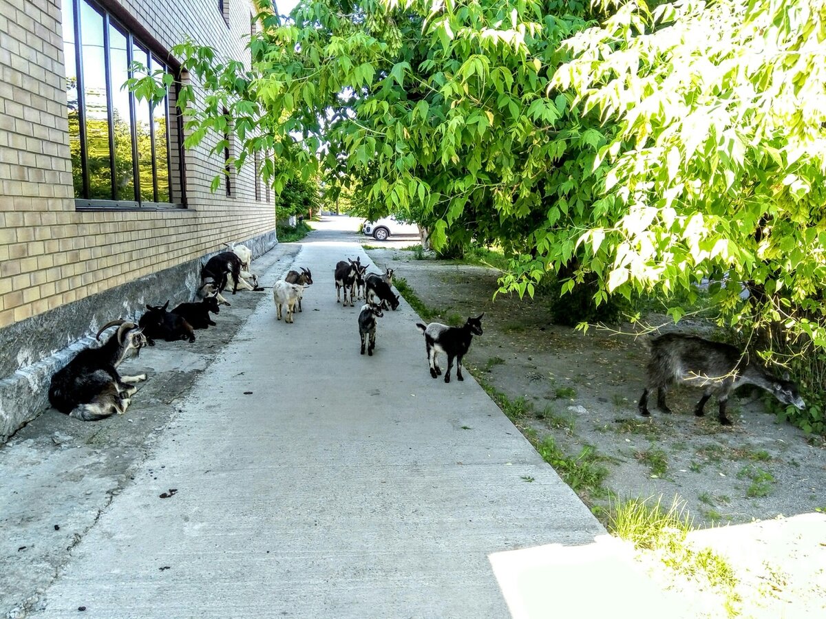 Касли, фото Елены Халдиной