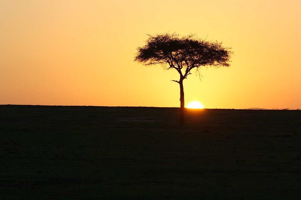 https://pixabay.com/ru/photos/%D0%BC%D0%B0%D1%81%D0%B0%D0%B8-%D0%BC%D0%B0%D1%80%D0%B0-%D0%BA%D0%B5%D0%BD%D0%B8%D1%8F-%D0%B7%D0%B0%D0%BA%D0%B0%D1%82-%D0%B0%D1%84%D1%80%D0%B8%D0%BA%D0%B0-3006874/