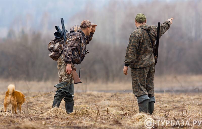 яндекс картинки