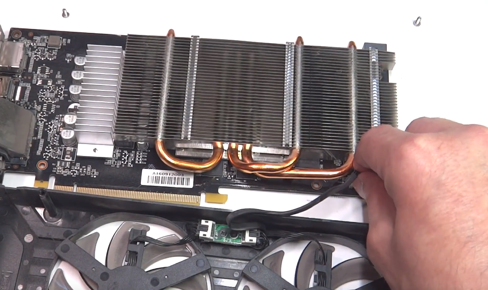 Фото из свободного доступа в интернете