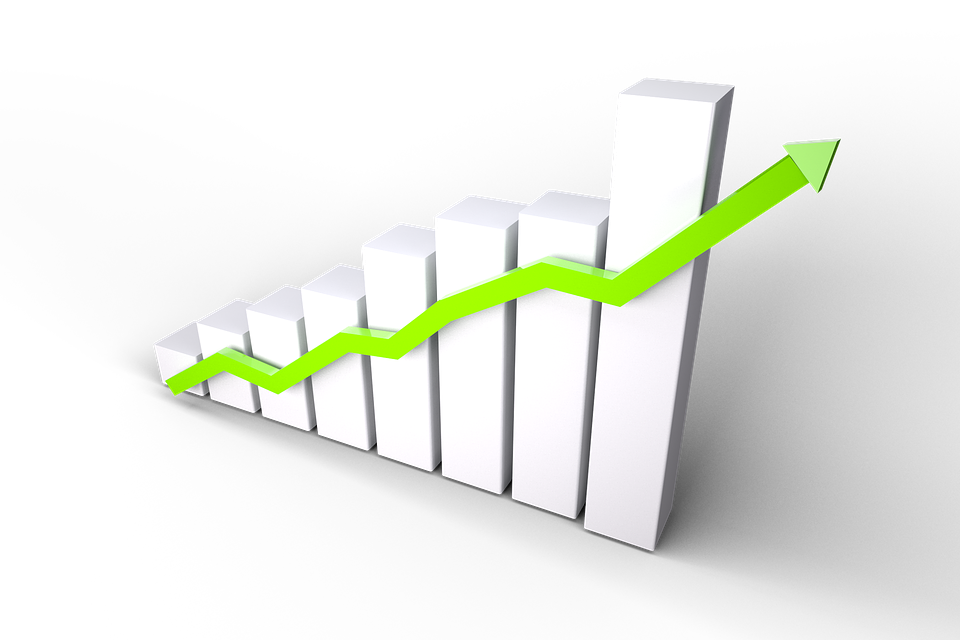 https://cdn.pixabay.com/photo/2018/01/12/16/16/growth-3078544_960_720.png
