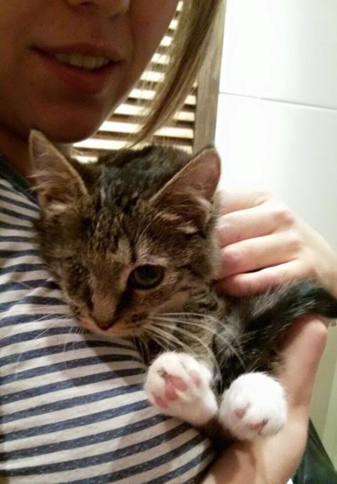 После операции