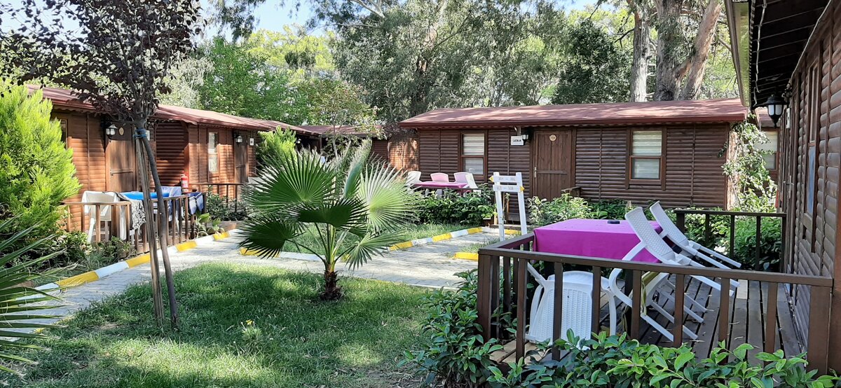 Территория кемпинга