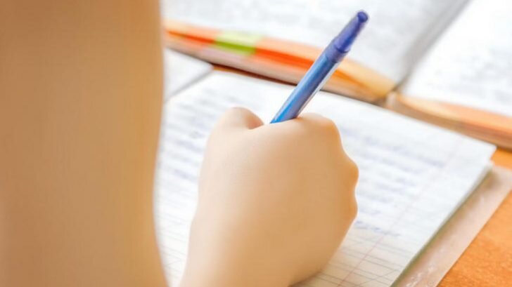 ЭГЕ по русскому готовы пройти😂?