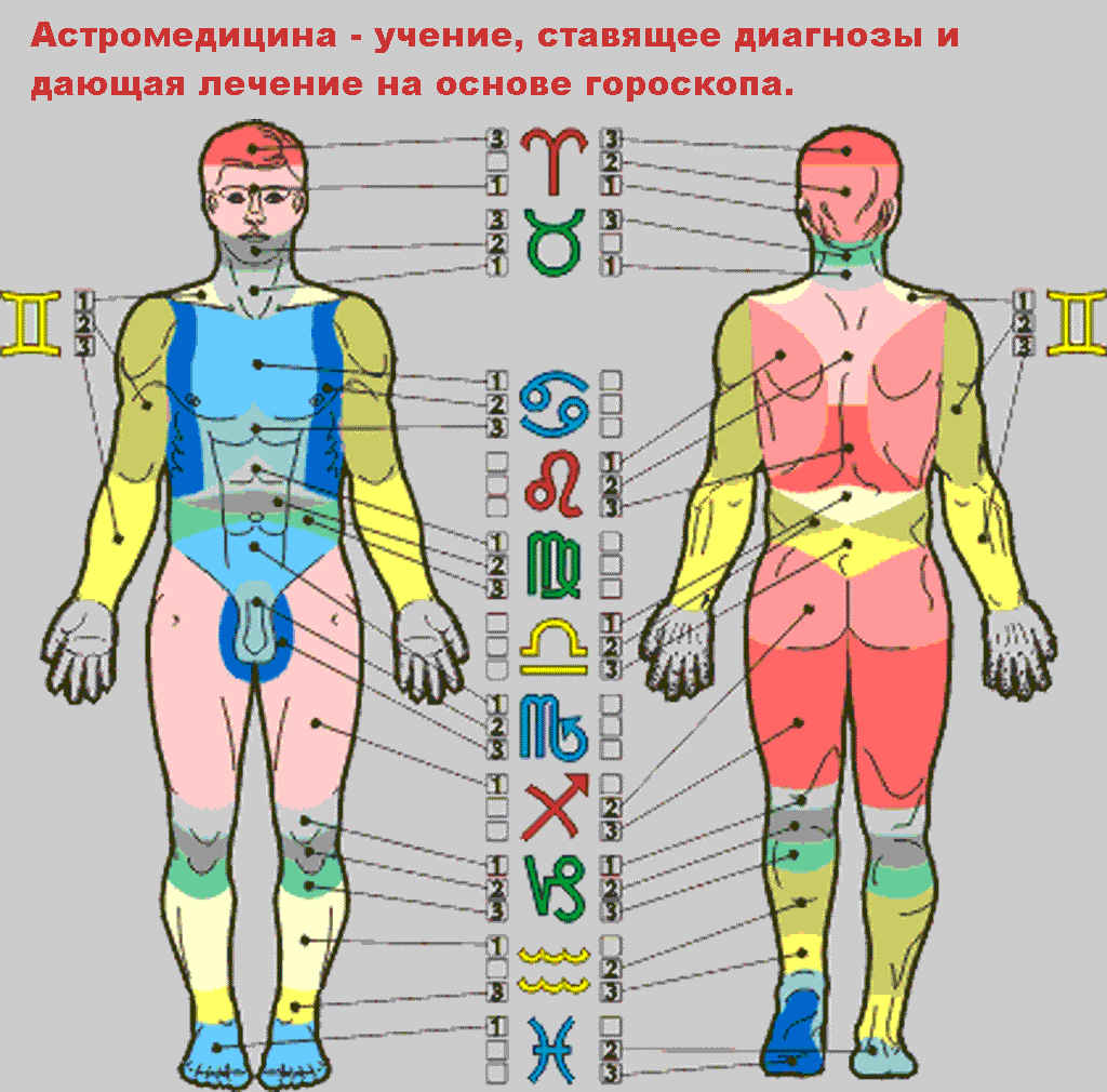 Знаки органов. Знаки зодиака и тело человека. Анатомическая связь зодиакальных знаков. Планеты и части тела. Зоны на теле человека.